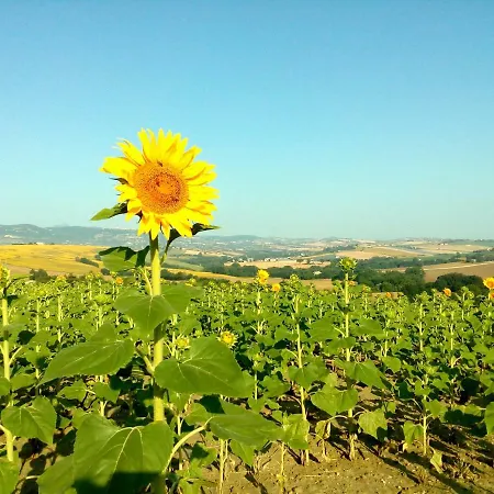 Il Casale Dorato Holiday home *