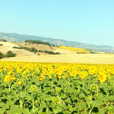 Il Casale Dorato * Filottrano