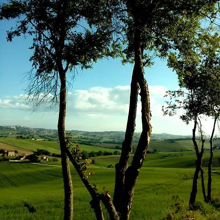 Il Casale Dorato Filottrano